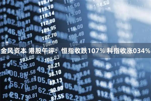 金风资本 港股午评：恒指收跌107% 科指收涨034%