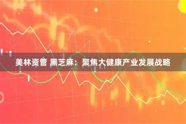 美林资管 黑芝麻：聚焦大健康产业发展战略