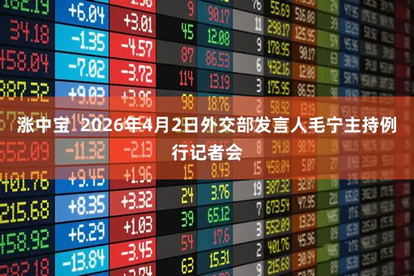 涨中宝  2026年4月2日外交部发言人毛宁主持例行记者会